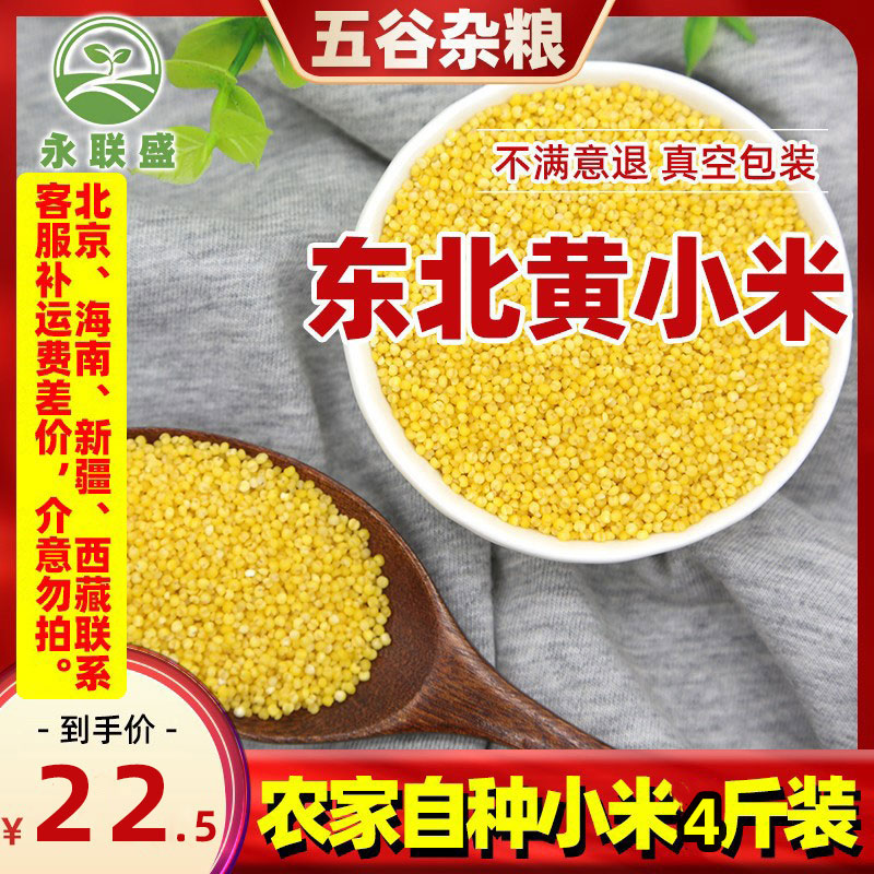东北黄小米粗粮农家自产五谷小米粥杂粮小黄米黑龙江新货新米4斤