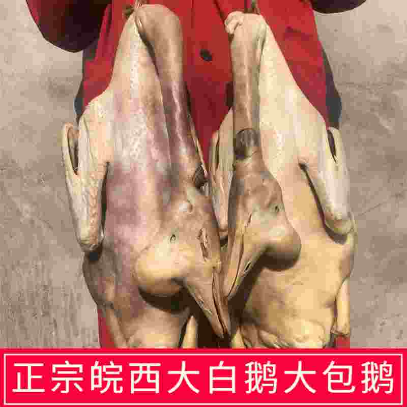 安徽六安特产皖西白鹅寿县农家腌制风干鹅带包大笨土草老腊鹅咸鹅