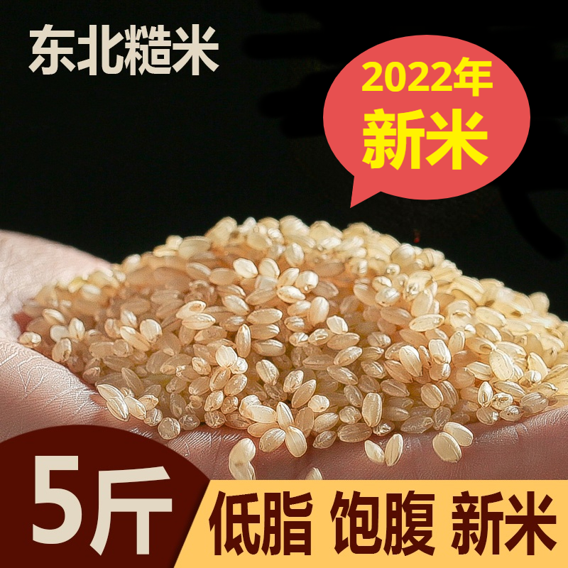 东北糙米5斤2023新米低脂发芽糙米饭糟米粗粮慥米代餐杂粮饭