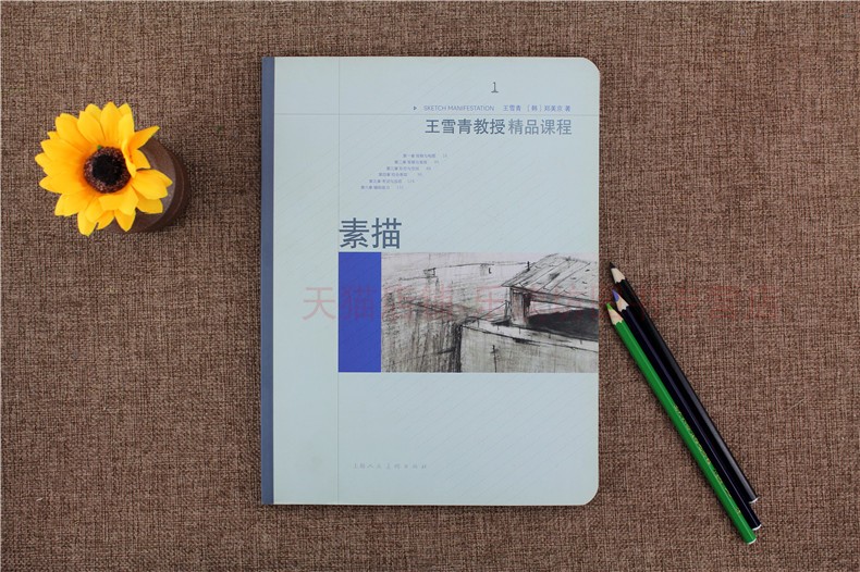 王雪青教授精品课程 素描 王雪青 上海人民美术出版社