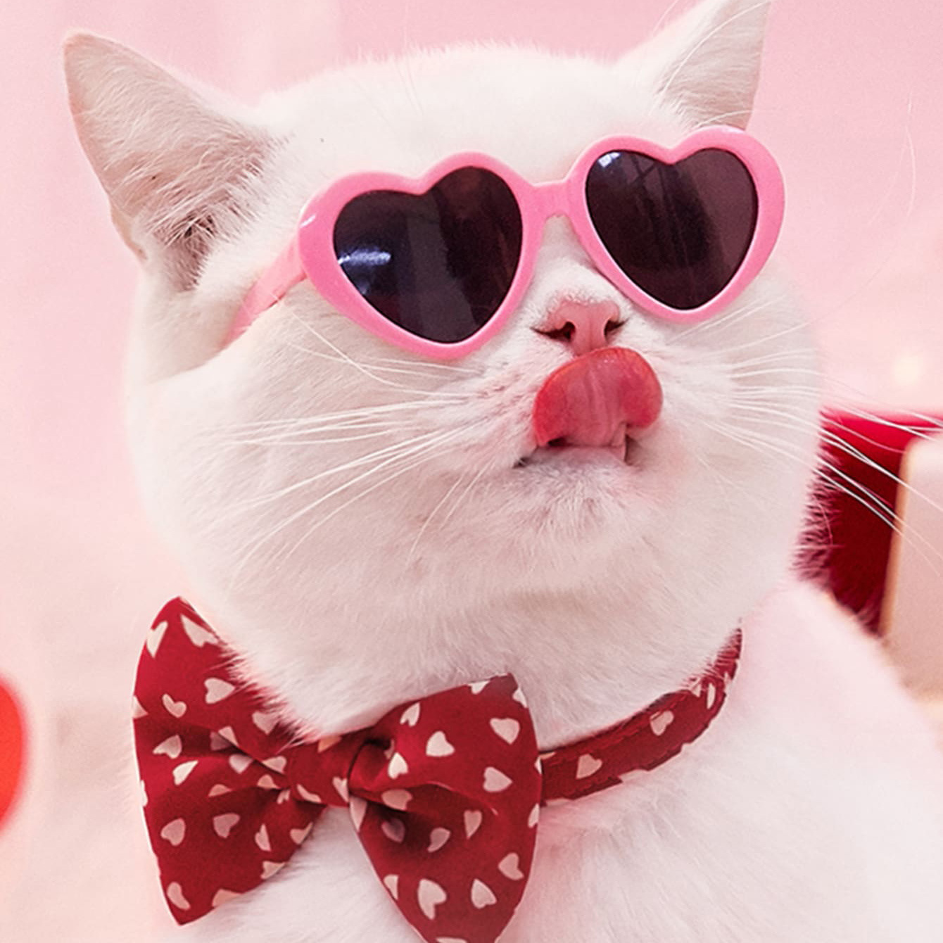 宠物猫眼镜复古耍酷狗眼镜创意潮流爱心眼镜拍照道具猫狗搞怪墨镜