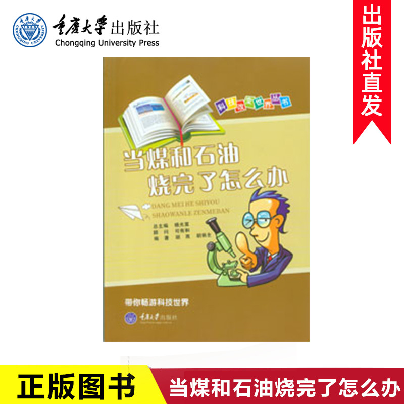 正版现货  当煤和石油烧完了怎么办  重庆大学出版社