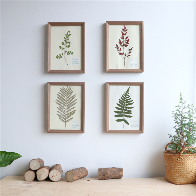创意天然植物标本装饰画实木壁挂画复古北欧干花树叶标本艺术手作