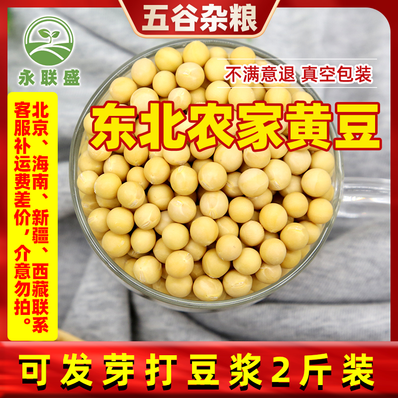 东北黑龙江农家自种大粒生豆芽的2021年新黄豆打豆浆专用2斤1000g