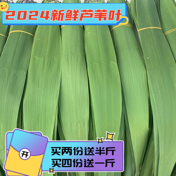 芦苇粽叶 端午粽子叶包粽子1.5斤约200片5月6号发货