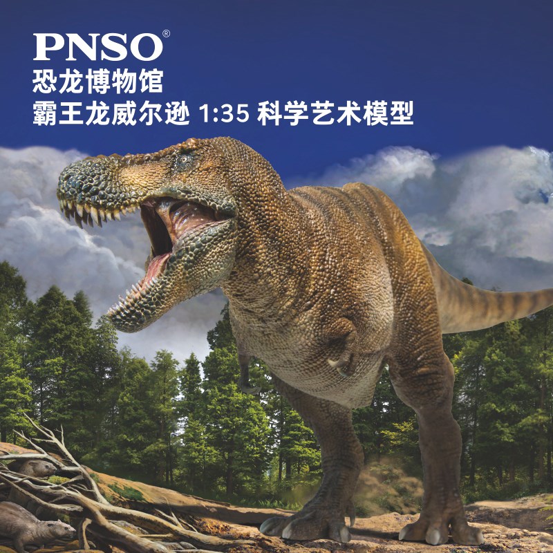 PNSO霸王龙威尔逊恐龙博物馆1比35科学艺术模型