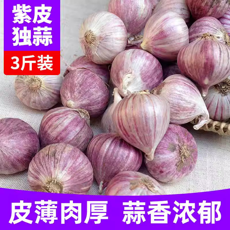 云南高原农家新鲜紫皮干大蒜独头蒜10斤特大果绿色无污染健康蔬菜
