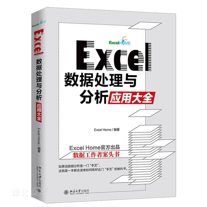 Excel数据处理与分析应用大全 9787301319345 北京大学出版社 ExcelHome新华书店正版书籍