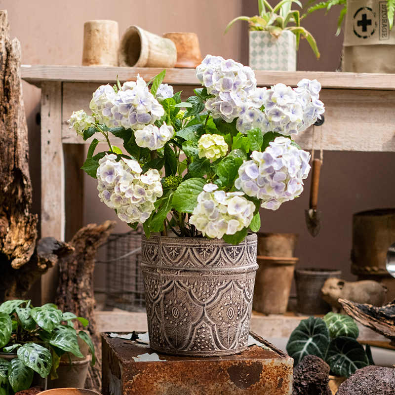 掬涵经典元素红陶花盆花器透气土培绿植种植插花阳台花园艺术花瓶