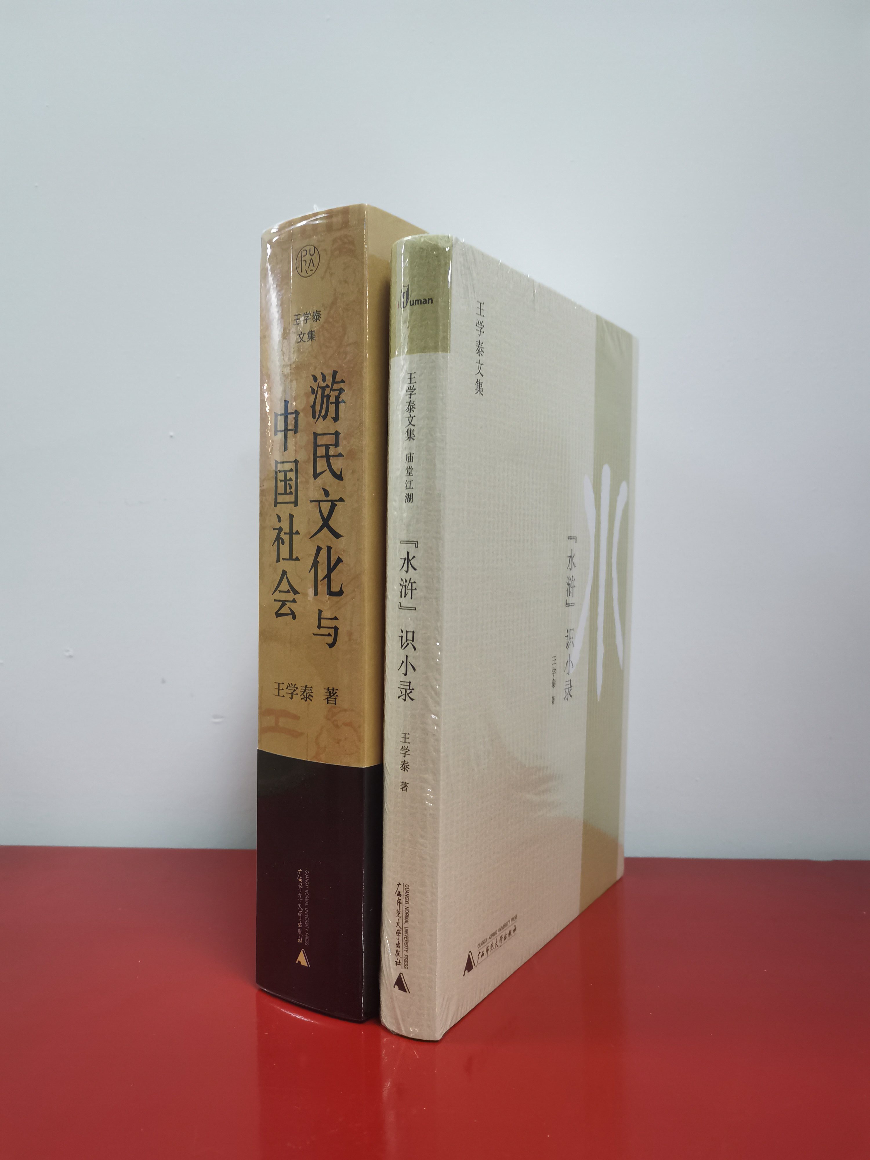 王学泰文集（全二册）：游民文化与中国社会+水浒识小录   广西师范大学出版社