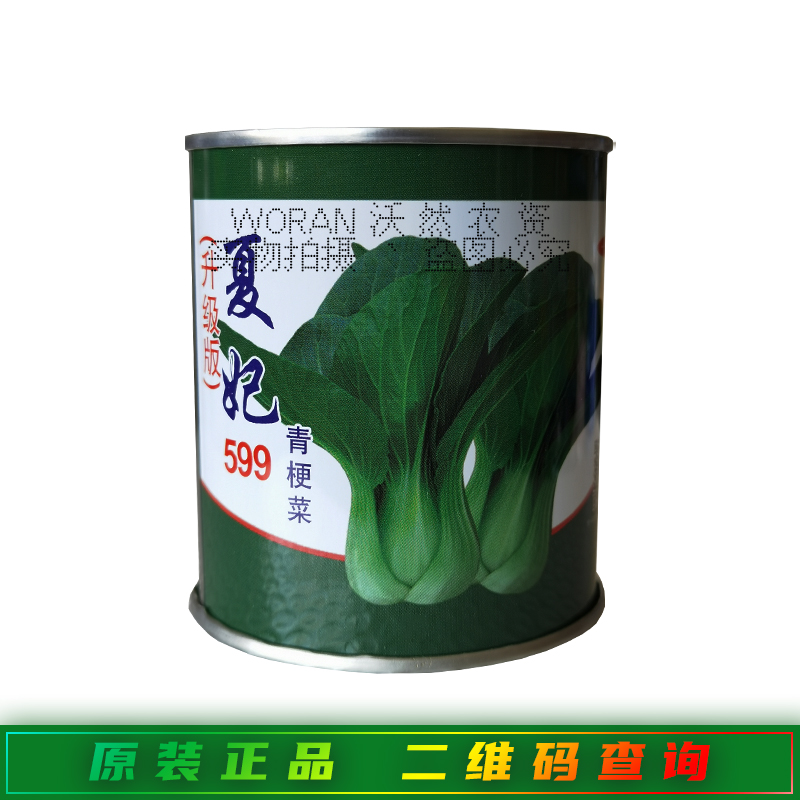 夏妃599青梗菜种子耐热抗病抗雨中脚上海青苏州青 鸡毛菜青菜种籽