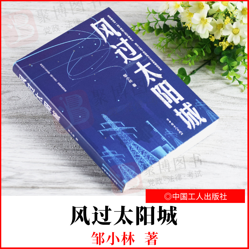 【2021新书】风过太阳城邹小林中国工人出版社9787500876953正版书籍