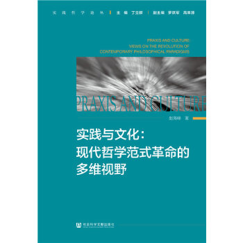 【正版包邮】实践与文化：现代哲学范式革命的多维视野 赵海峰 社会科学文献出版社