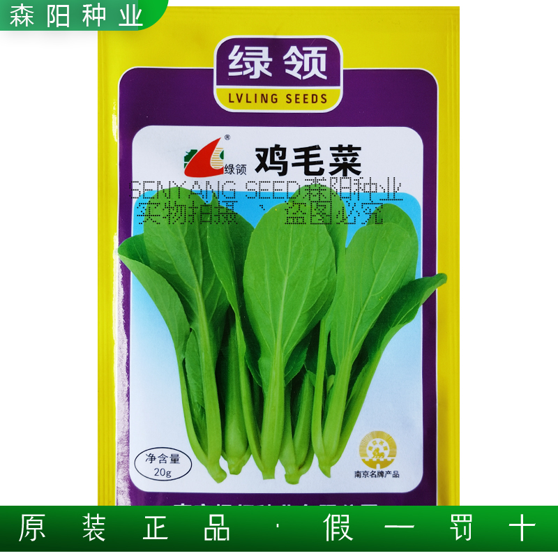 绿领鸡毛菜种子苗秧四季速生小青菜上海青夏绿苏州青全国蔬菜种籽