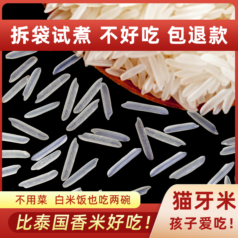 猫牙米10斤泰国香米形状长粒香大米丝苗米饭专用米大米2023年新米