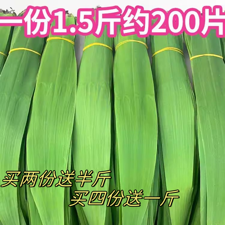 现货 芦苇叶粽叶 纯野生端午包粽子叶1.5斤约200片左右