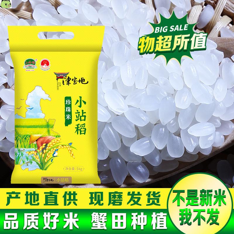 【新米】天津小站稻大米10斤20斤价东北大米品质长粒香米5斤