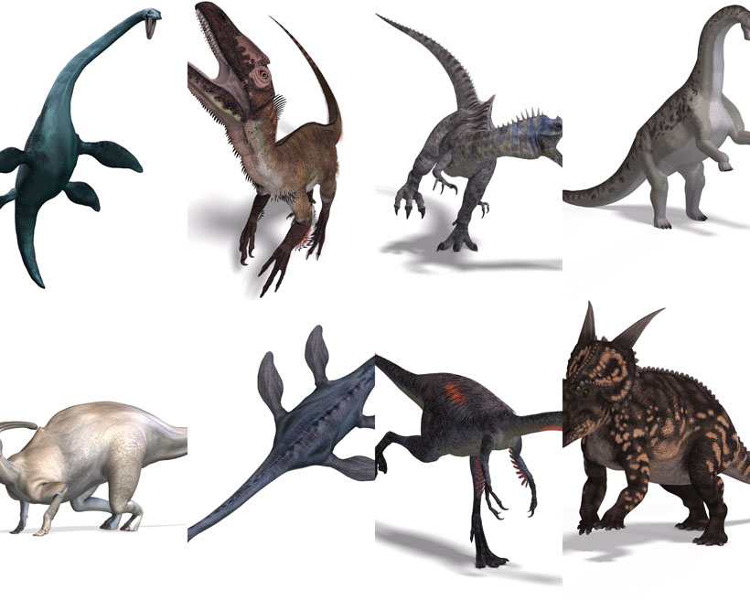 25张恐龙3D动物效果展示飞龙陆地拍摄摄影高清图库素材 图片素材