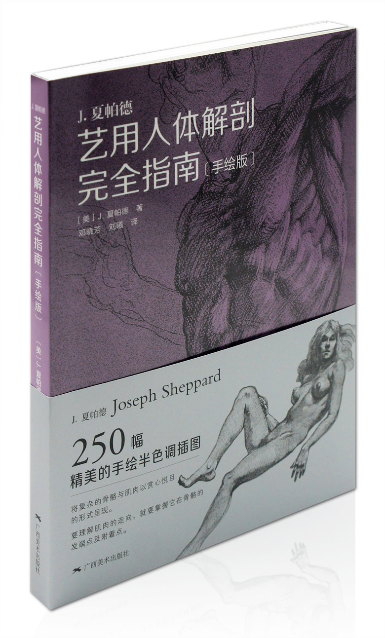 艺用人体解剖完全指南（手绘版）广西美术出版社 解剖学 人体结构 素描  正版图书