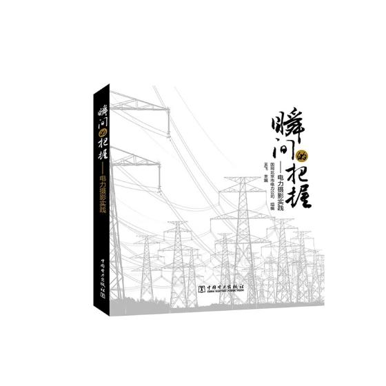 瞬间的把握电力摄影实践 飞 中国电力出版社 摄影理论 书籍