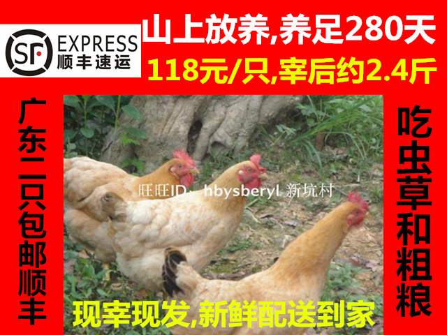 农家散养土鸡走地放养杀前3斤生鲜活鸡现杀柴鸡230天年货节送礼