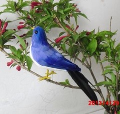 仿真蓝色羽毛小鸟，橱窗展示，园林摆设，场景摆设 教学道具