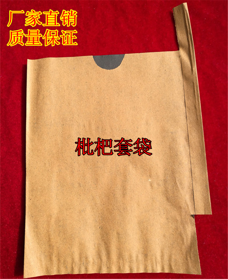 水果套袋枇杷专用套袋纸袋白沙枇杷套袋果袋防晒防雨防鸟防虫包邮