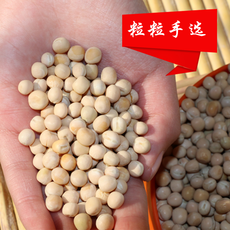 农家自种 白豌豆250g寒豆麦豆重庆小面原料 苗芽菜种子