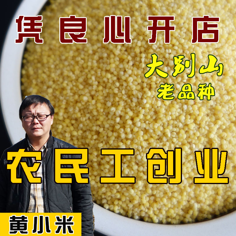 大别山黄小米新米小黄米农家老品种小米杂粮月子米脂小米粥500克