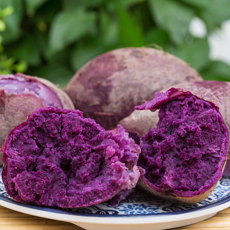 紫薯新鲜小红薯农家特产紫心地瓜紫薯仔10斤装包邮