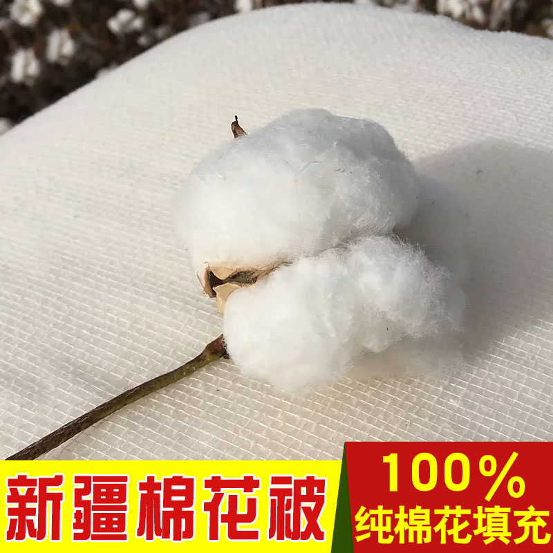 棉花被子被芯新疆纯棉花棉絮床垫100%天然长绒棉冬被加厚全棉被子